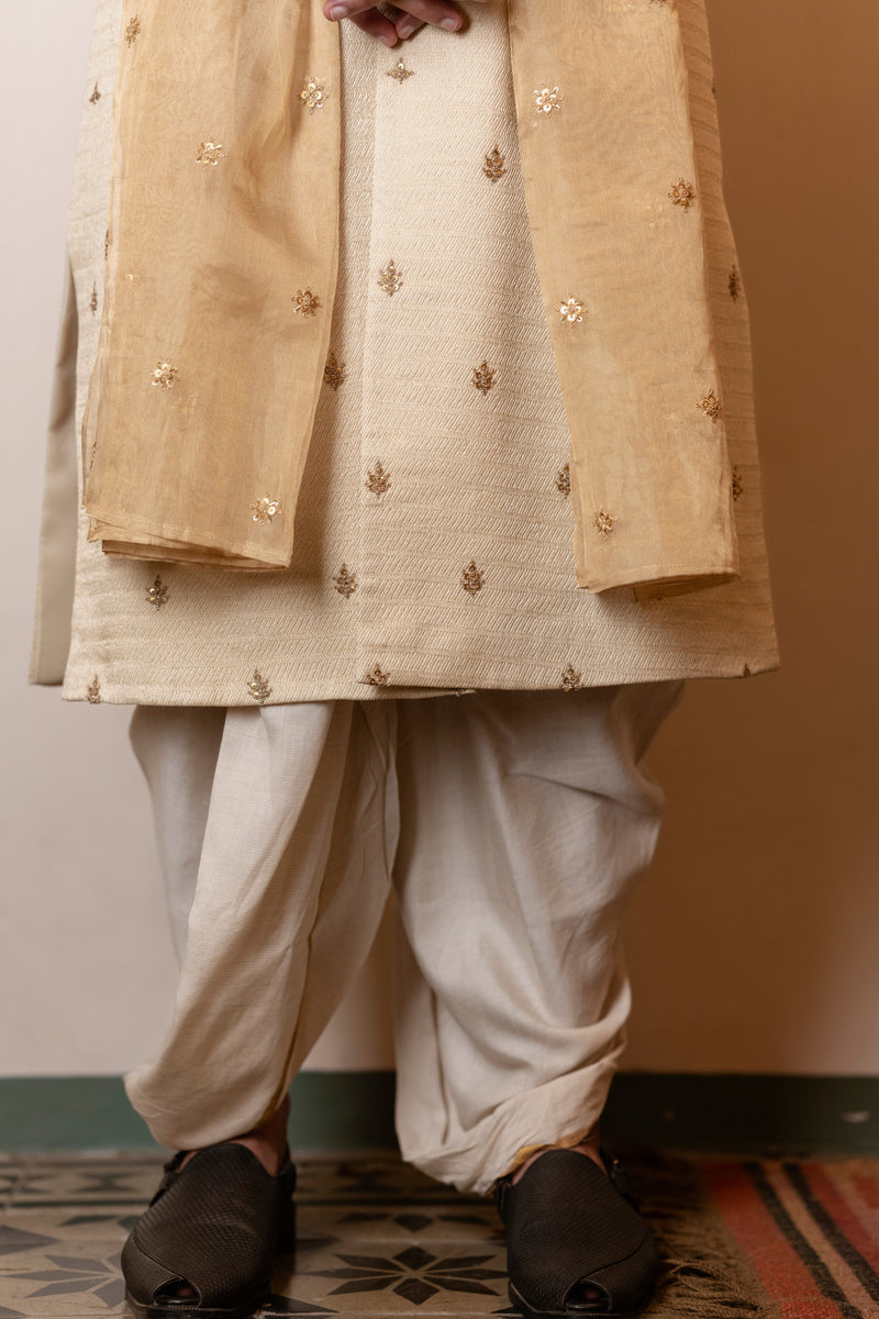 Golden Motifs Sherwani with Stole